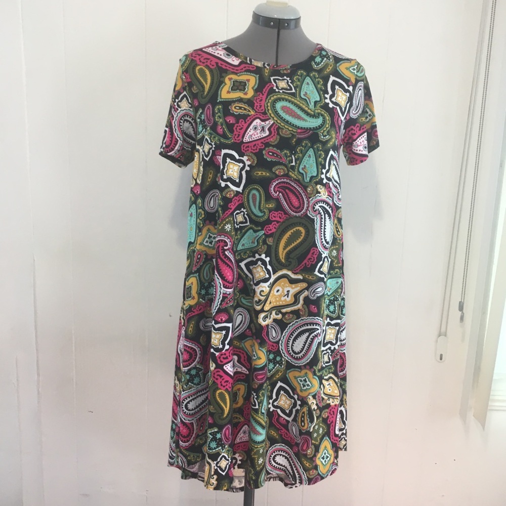 NWOT Lula Roy Hi low multiple colors floral short sleeve dress size XS